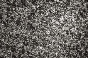 Texture of seashells, beach sand stones. Sea Point Cape Town. photo