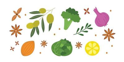 conjunto de ilustración de vegetales y especias para elementos de diseño de alimentos vector