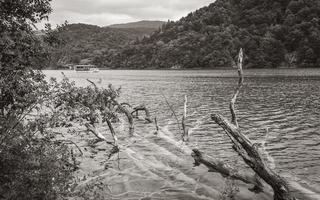 Los árboles muertos yacen bajo el agua turquesa del parque nacional de los lagos de Plitvice. foto