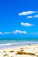 caribe tropical playa agua algas sargazo playa del carmen mexico.