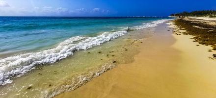 Tropical Caribbean beach water seaweed sargazo Playa del Carmen Mexico. photo