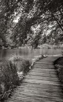 Landscape footbridge over turquoise water. Plitvice Lakes National Park Croatia. photo