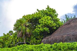 Palapa roof resort in tropical beach Playa del Carmen Mexico. photo