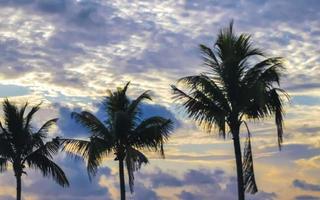 hermoso amanecer colorido con palmeras a la sombra en México. foto