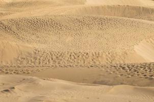 dunas de arena junto al mar