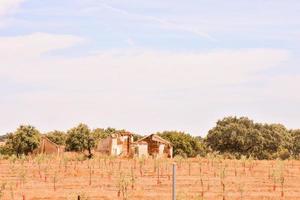 Landscape in summer photo