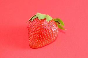 Strawberry on red background photo