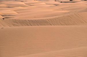 Sand dunes in summer photo
