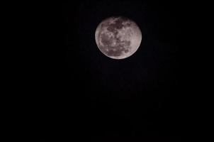 The moon at night photo