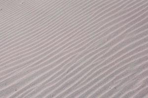 Lines in the sand photo