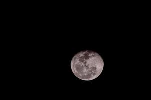 The moon at night photo