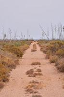 Scenic road view photo