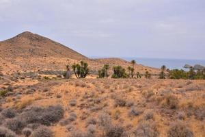 vista de las montañas del desierto foto