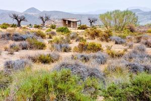 paisaje en verano foto