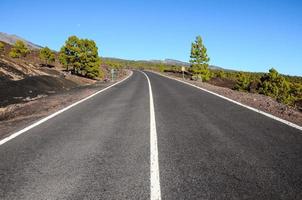 Scenic road view photo