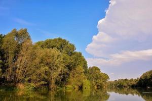 Scenic view of the woods photo