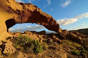 Landscape in summer photo