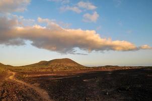 Landscape in summer photo