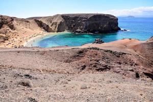 Landscape in summer photo