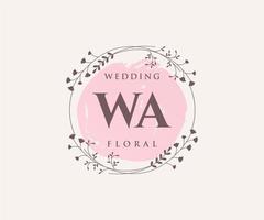 WA Initials letter Wedding monogram logos template, hand drawn modern minimalistic and floral templates for Invitation cards, Save the Date, elegant identity. vector