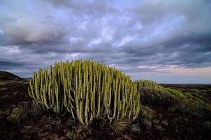 Scenic desert view photo