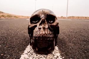 cráneo negro en el camino foto