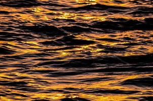 The sea at sunset photo