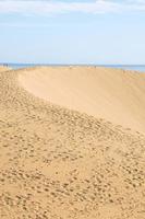 Sand dunes by the sea photo