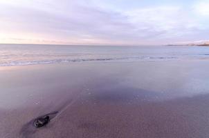 Scenic beach view photo