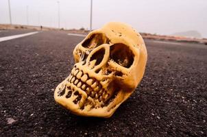Skull on the road photo