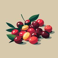 Fresh Cranberry. Cranberries with leaves isolated vector