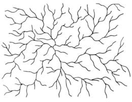 monochrome pattern black and white branches, cracks, natural lines vector