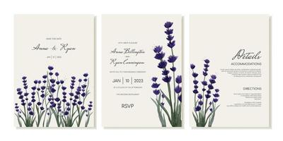 Set of wedding invitation templates in a delicate minimalist style with field purple flowers. Vector