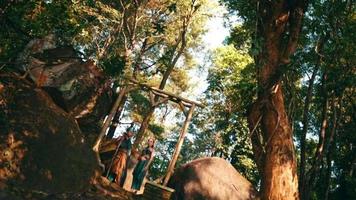 una pareja indonesia explorando el bosque en la cima de la montaña con caras felices mientras hablan entre ellos video