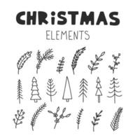 Christmas doodle elements. Winter plants and trees vector set.