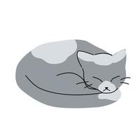 ilustración de un lindo gato gris tomando una siesta. arte simple de moda aislado, gatito dormido. vector