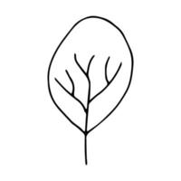 hermoso árbol con ramas interesantes sobre un fondo blanco 2 vector