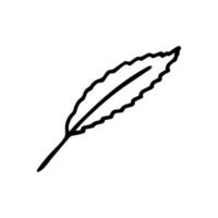 Feather in the style of doodle vector