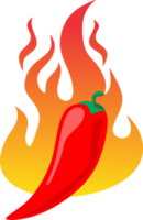 Chili peper Aan brand png