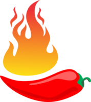 rood heet Chili peper in brand png