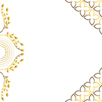 Abstract black background with golden floral ornament. png