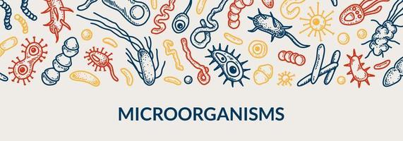 pancarta de microbiología. colección de diferentes tipos de microorganismos. ilustración vectorial científica en estilo boceto vector