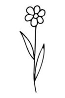 Doodle of chamomile isolated on white background. Hand drawn vector illustration of spring flower in cartoon style.