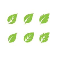 Mint leaves flat vector icon