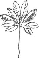 black and white of leaf plant cartoon vector