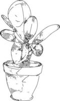 ilustración vectorial de hermosa planta y maceta vector