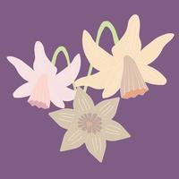 Square vector illustration of daffodils in pastel colors on pale purple background