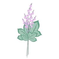 Bouquet of tropical twigs with green leaves and flowers on a white background. Vector leaves for decoration. exotic plant