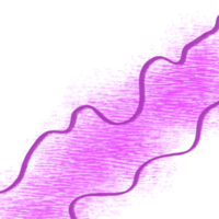 Irregular Freeform aesthetic abstract Handdraw Organic Shape. png