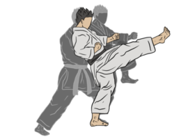 Illustration von Karate png